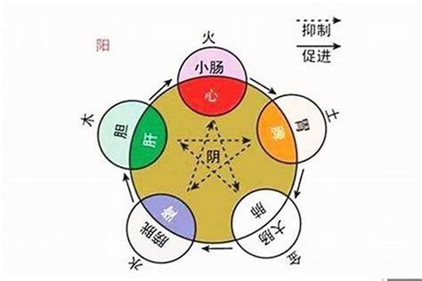 尚五行|尚的五行属什么,尚字的五行属性,尚的寓意